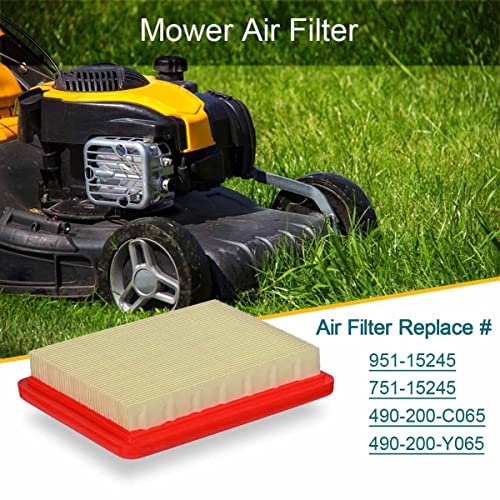 Emmawin 2 Pack 951-15245 Air Filter for Cub Cadet MTD 159cc 196cc Engine Lawn Mower, Replace Air Filter 751-15245 - Grill Parts America