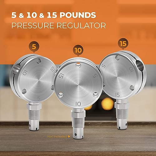 Pressure Regulator Weight Fit for All American 21.5qt,30qt,41qt Pressure Cooker Canner,Part of the Automatic Pressure Control - Fits All Our Pressure Cookers/Canners with a Vent Pipe - Grill Parts America