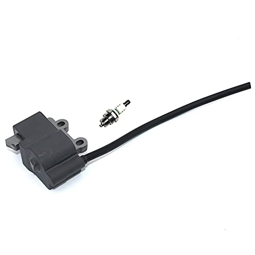 AAPIE Replaceable Parts- Ignition Coil Spark Plug BM6A Echo PB-255LN PB-251 ES255 PB265L PB265LN Leaf Blower Vacumm Magneto Parts#A411000290 A425000100 - Grill Parts America