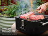 Everdure CUBE Portable Charcoal Grill, Tabletop BBQ,  Stone - Grill Parts America