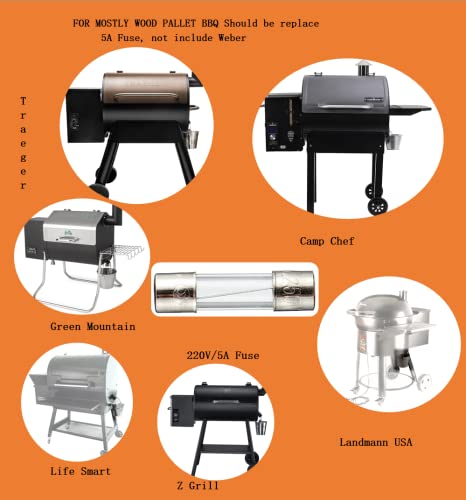 Firsgrill Fuse Replacement for Traeger, Pit Boss, Z Grills & Weber Wood Pellet Grills (5A 250V) - Grill Parts America