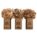 Cooking Gift Set | Wood Chips for Smoking and Grilling Box Set (6 PC) - Grill Parts America